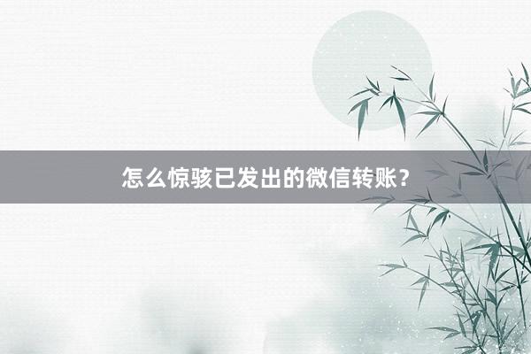 怎么惊骇已发出的微信转账？